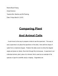 Comparing Plant And Animal Cells