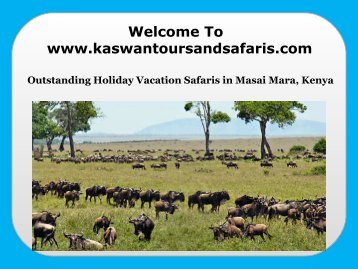 Outstanding Holiday Vacation Safaris