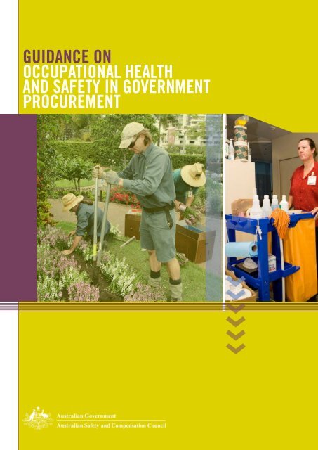 Guidance on occuPaTionaL HeaLTH and SaFeTY in GoVeRnMenT