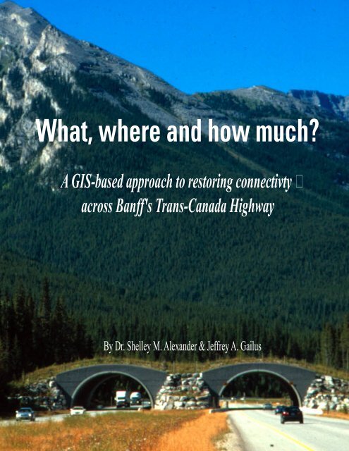 A GIS based approach to restoring connectivity across Banff's Trans ...