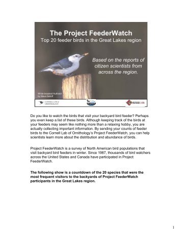 The Project FeederWatch - Cornell Lab of Ornithology