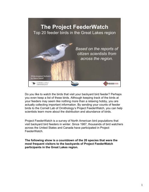 The Project Feederwatch Cornell Lab Of Ornithology