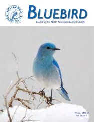 Vol. 31, No. 1 - North American Bluebird Society