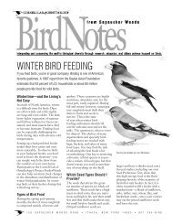 WINTER BIRD FEEDING - Cornell Lab of Ornithology