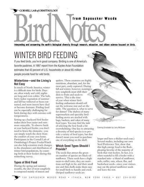 WINTER BIRD FEEDING - Cornell Lab of Ornithology