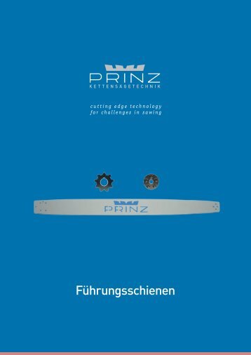 FÃ¼hrungsschienen - PRINZ GmbH & Co KG