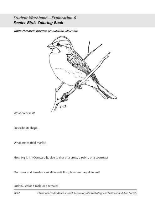 Student Workbook Explor