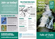 Reserve leaflet - Scottish Wildlife Trust