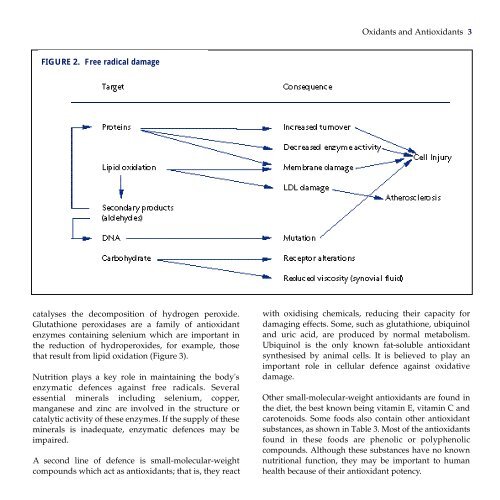 Oxidants, Antioxidants and Disease Prevention - Aara-Super food