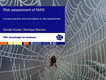 Risk assessment of NIAS