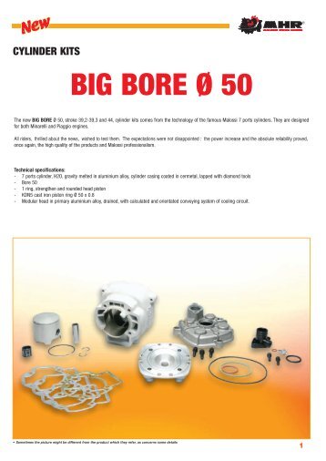 Pg36_39_BIG BORE_100 - Malossi Performance Parts