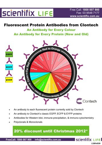 Fluorescent Protein Antibodies from Clontech 20 ... - Scientifix