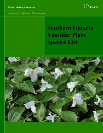 Southern Ontario Vascular Plant Species List - Conservation Ontario