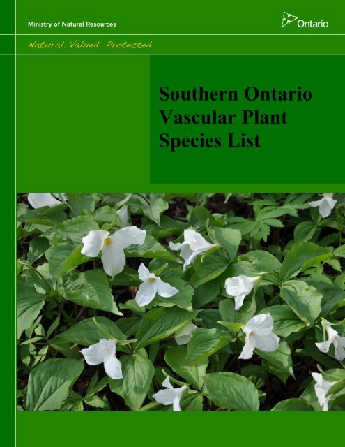 Southern Ontario Vascular Plant Species List - Conservation Ontario