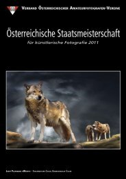 für künstlerische Fotografie 2011 - Die Fotosektion des SK VÖEST