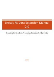 Enesys RS Data Extension Manual - EPM Live