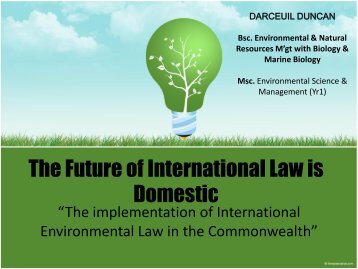 The Future of International Law is Domestic