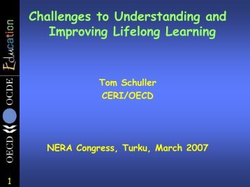 Challenges to Understanding and Improving Lifelong Learning