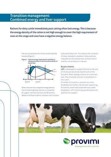 Transition management: Combined energy and liver support - Provimi