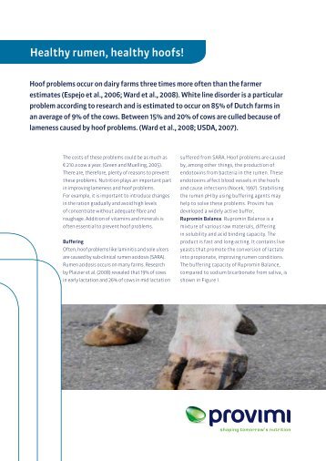 Healthy rumen, healthy hoofs! - Provimi