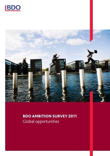 Global opportunities - BDO Romania