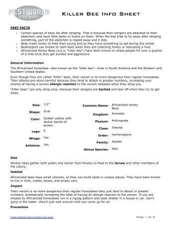 Killer Bee Info Sheet - Pestworld for Kids