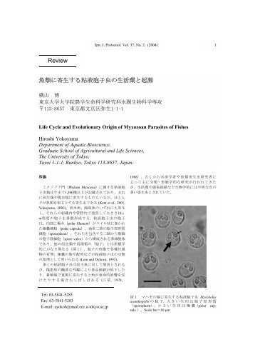 Review 魚類に寄生する粘液胞子虫の生活環と起源 - 日本原生動物学会