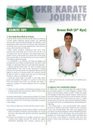 gkr karate belt colours