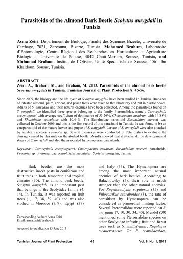 Parasitoids of the Almond Bark Beetle Scolytus amygdali in ... - Iresa