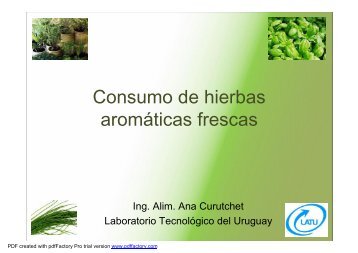 Consumo de hierbas aromáticas frescas