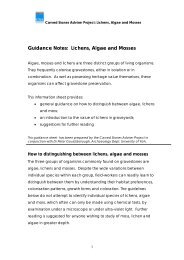 Guidance Notes: Lichens, Algae and Mosses - Carved Stones ...