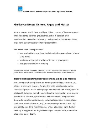 Guidance Notes: Lichens, Algae and Mosses - Carved Stones ...