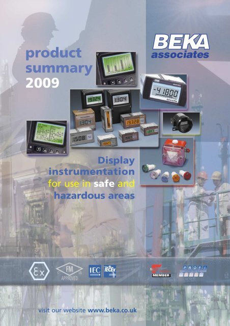 Download 2009 Product summary - BEKA Associates