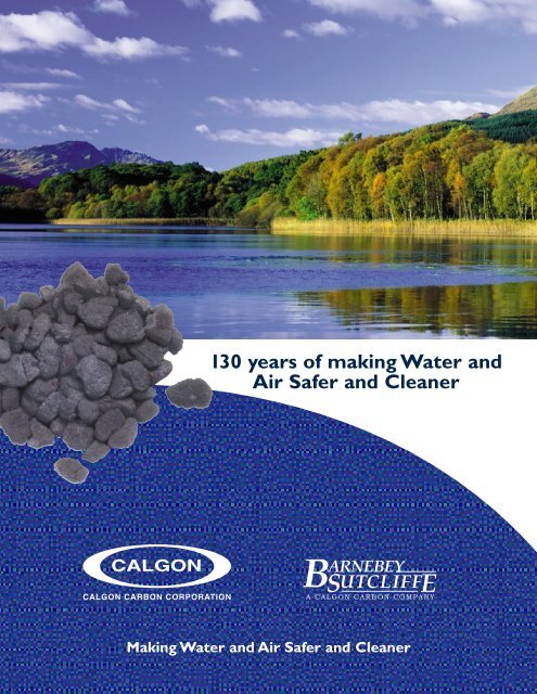 Timeline Brochure Pdf Clean My Water