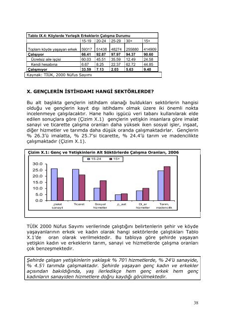 Türkiye'de Genç İşsizliği - Gençlik Çalışmaları - İstanbul Bilgi ...