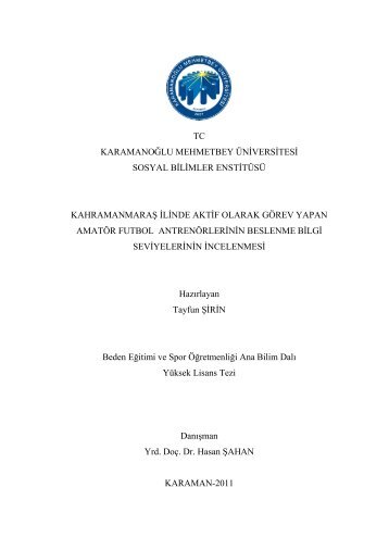 tc karamanoğlu mehmetbey üniversitesi sosyal bilimler enstitüsü ...