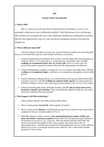 Systems of Rice Intensification (SRI). - Food Security and Nutrition