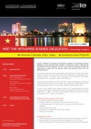 MEET THE VIETNAMESE BUSINESS DELEGATION a networking ...