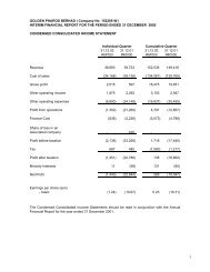 INTERIM FINANCIAL REPORT FOR THE PERIOD ENDED 31 ...