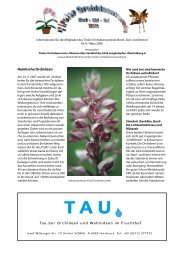 TAU - Orchideen Verein - KufNet