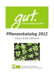 Pflanzenkatalog 2012 - Chance B