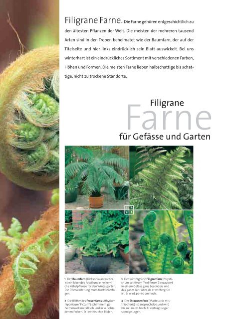 Bestellbon - Gartencenter Hoffmann