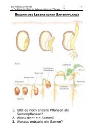 1. Gibt es noch andere Pflanzen als Samenpflanzen ... - auf chungo.de