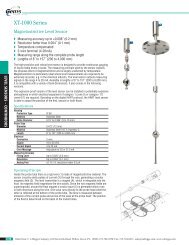 XT-1000 Series Magnetostrictive Liquid Level Sensor - CA Briggs