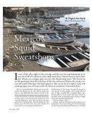 Mexico's Squid Sweatshops - Virginia Sole-Smith