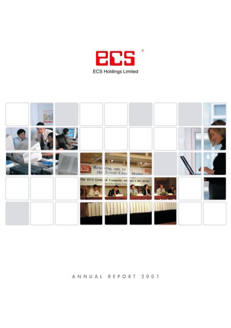 Audit Committee - ECS Holdings Limited