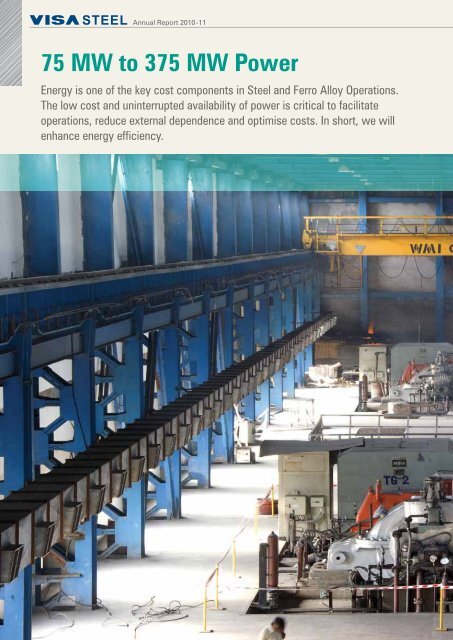 VISA Steel Limited Annual Report 2010-11
