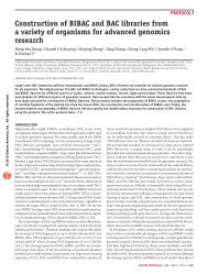 Construction of BIBAC and BAC libraries from a variety of organisms ...