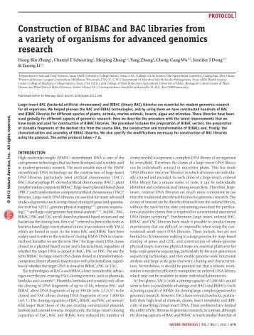 Construction of BIBAC and BAC libraries from a variety of organisms ...