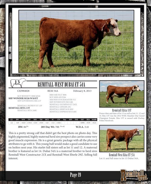 the Remitall West Production Sale Catalogue - Canadian Hereford ...